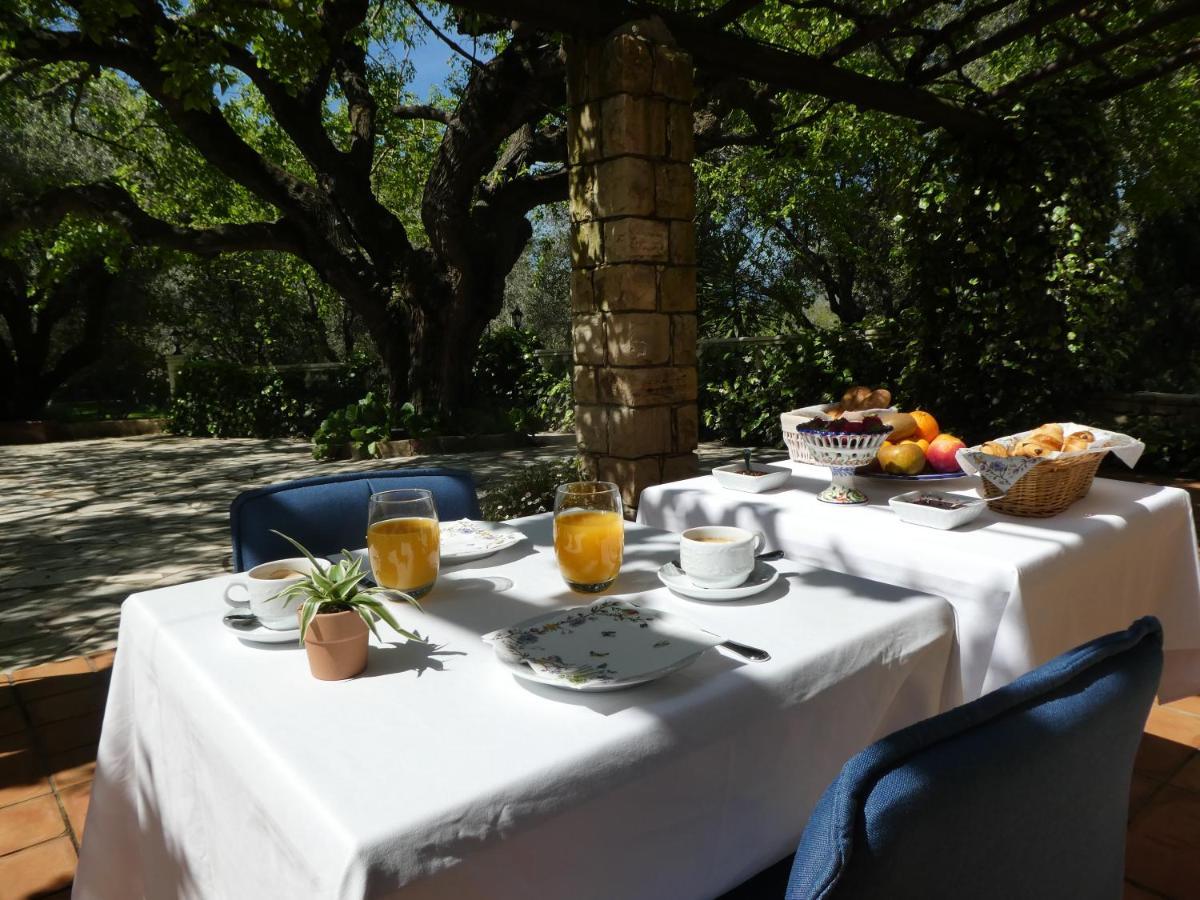 Domaine Du Paradis Des Oiseaux Mougins Exteriör bild